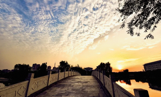 image010.gif