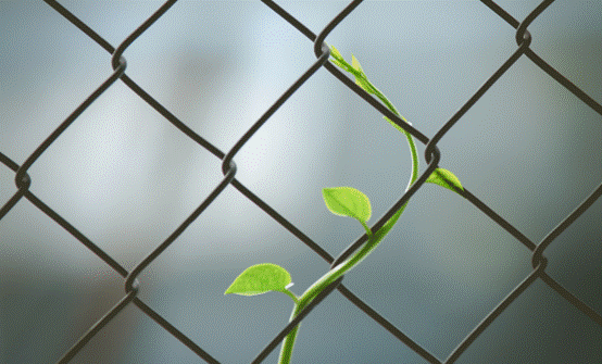 image002.gif