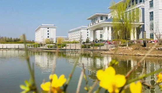 image003.gif