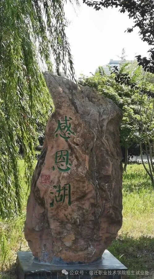 八维职业学校宿迁职业技术学院2026年提前招生简章