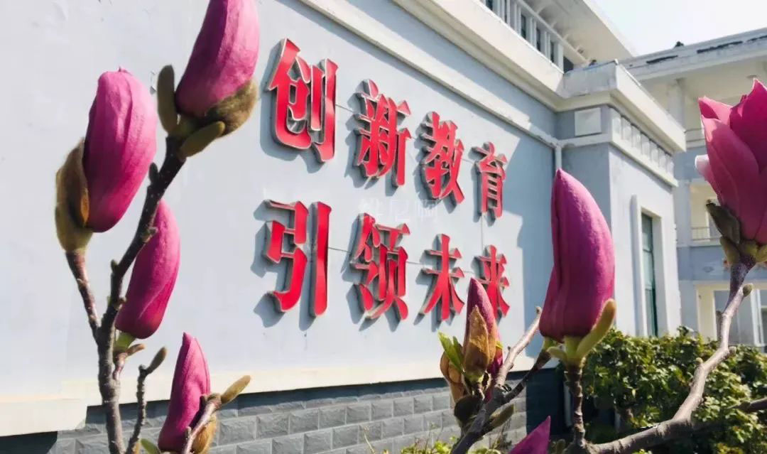 八维集团开展IT职业生涯新篇章为IT人才造就就业机会