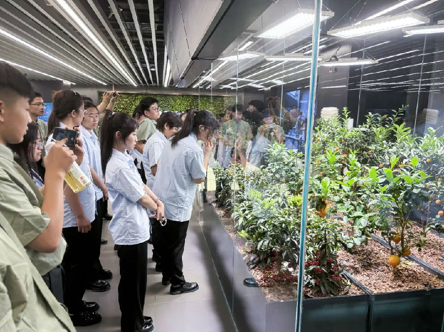 八维职业学校打造学子们就业启航站引领你走向成功