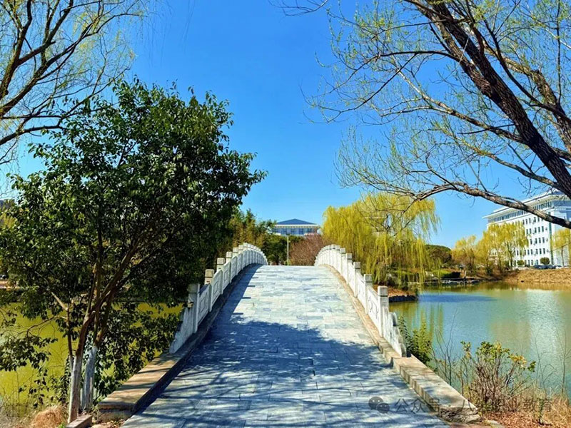 八维校园 (18).jpg
