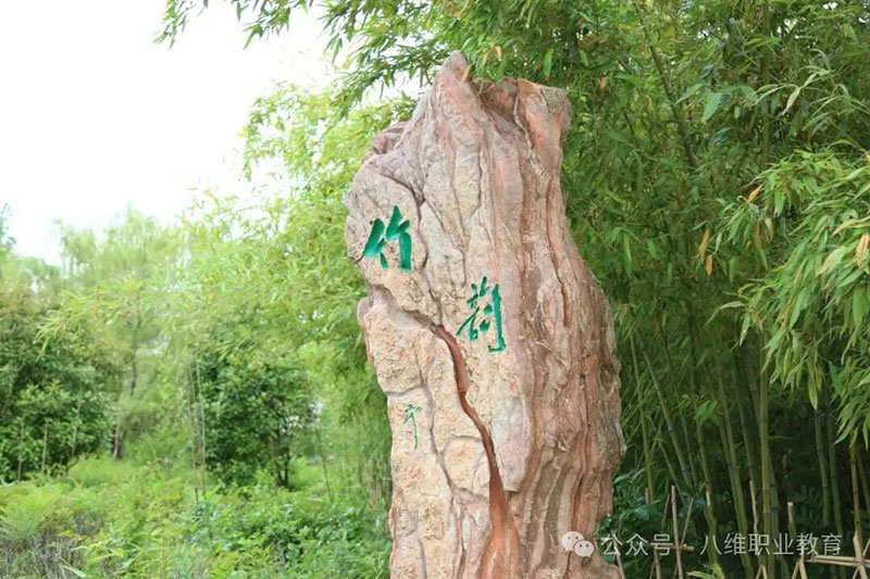 八维校园 (16).jpg