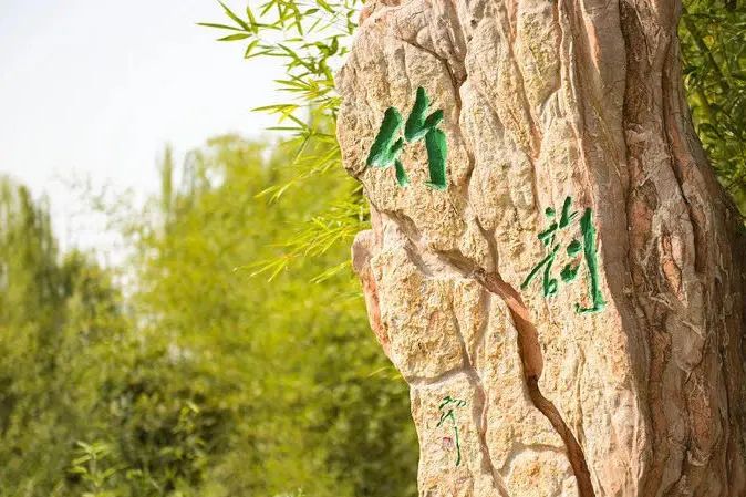 技术引领未来就业市场，看清全球人才招聘趋势