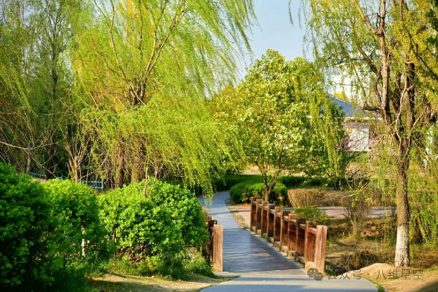 家长必看！八维职业学校如何助力学子高效快乐成才？